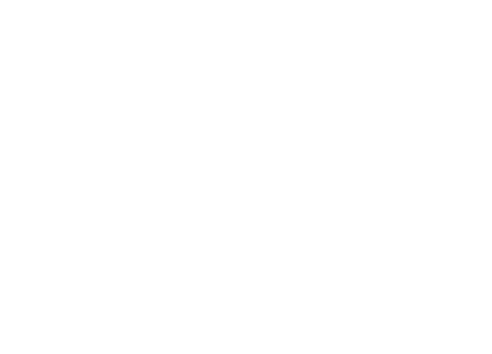 "Discover The Flow" Logo Vogel